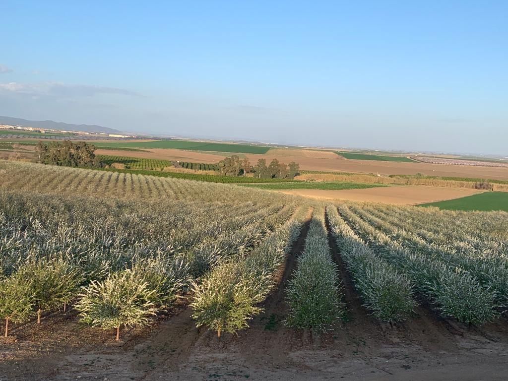 agricultura