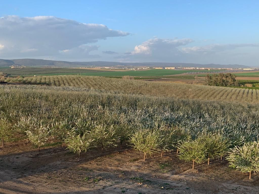 agricultura