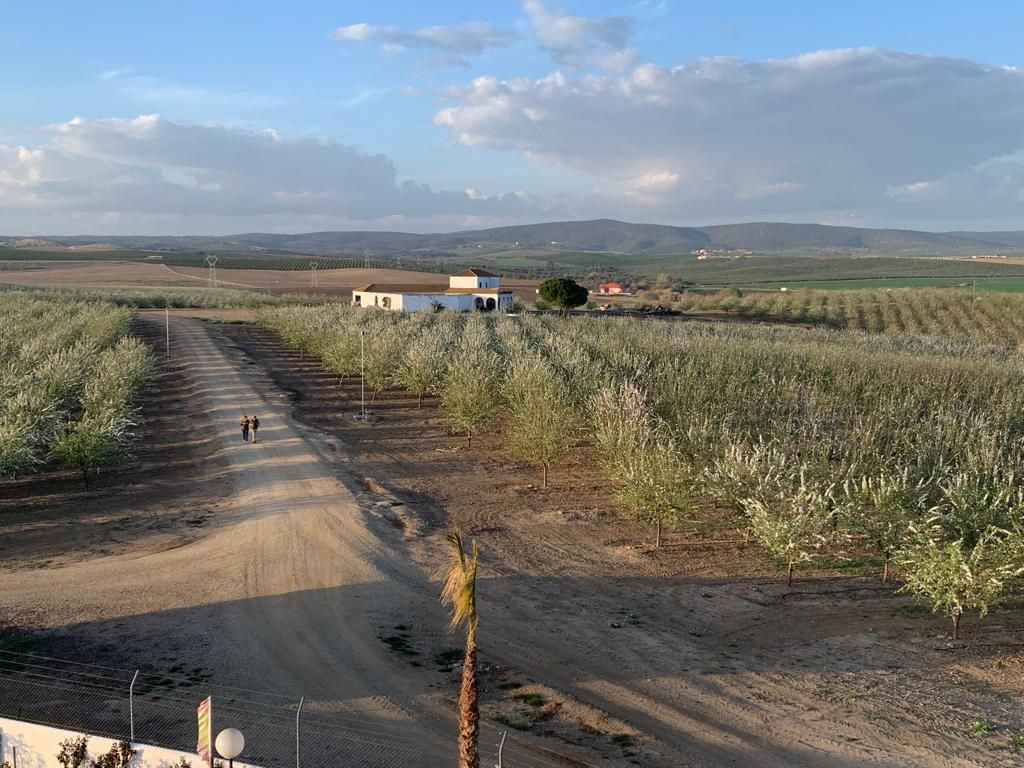 agricultura