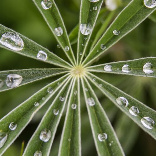 fertilizantes-innovacion