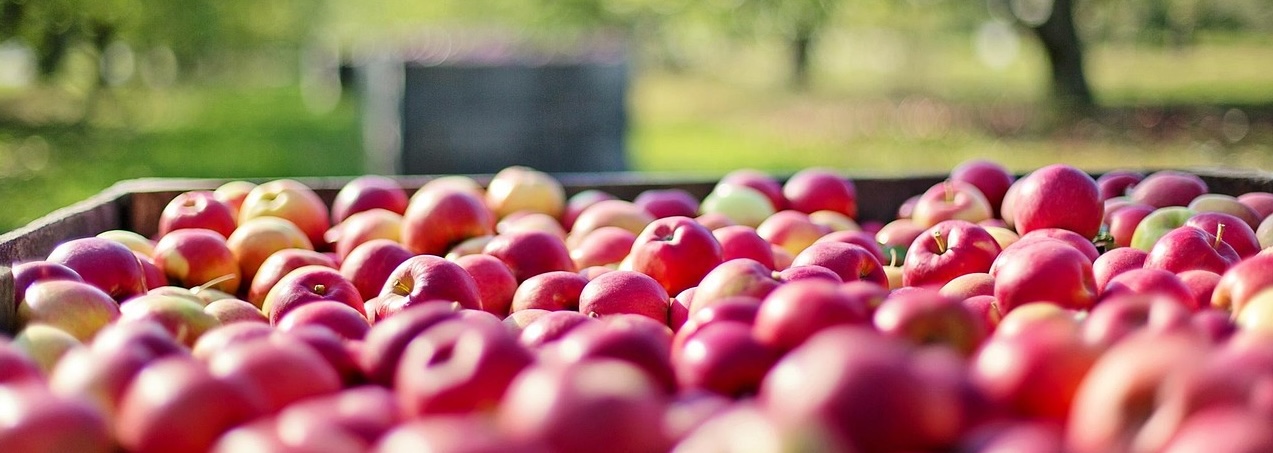 fertilizantes-manzanas 2