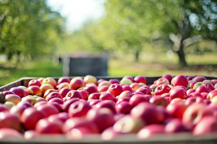 Fertilizantes-Manzanas