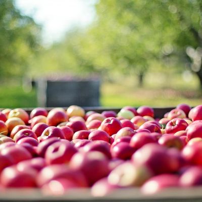 fertilizantes-manzanas