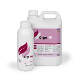 1_5_L_Orgo_40