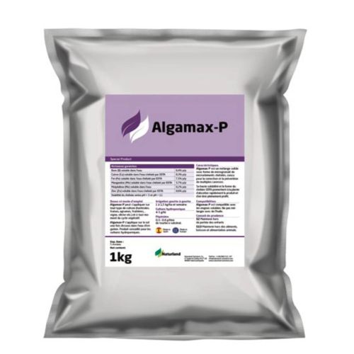 Algamax-P | Extracto de algas Ascophyllum nodosum sólido